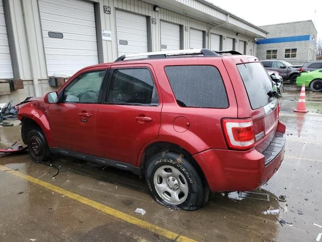 2008 Ford Escape Limited