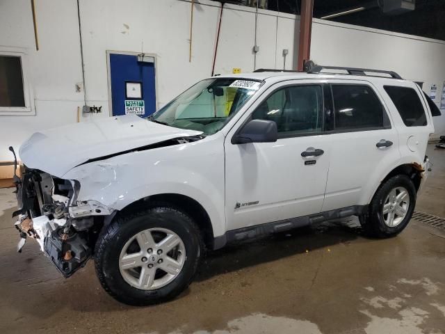 2010 Ford Escape Hybrid