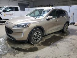 Ford Escape sel salvage cars for sale: 2020 Ford Escape SEL