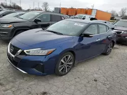 Nissan salvage cars for sale: 2023 Nissan Maxima SV