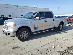 Ford salvage cars for sale: 2014 Ford F150 Supercrew