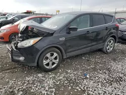 Salvage cars for sale at Cahokia Heights, IL auction: 2016 Ford Escape SE