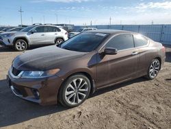 2013 Honda Accord EXL en venta en Greenwood, NE