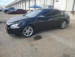 Salvage cars for sale at Louisville, KY auction: 2014 Nissan Maxima S