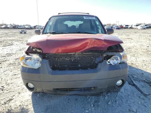 2007 Ford Escape XLT