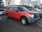 2009 Ford F150