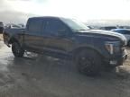 2024 Ford F150 Platinum