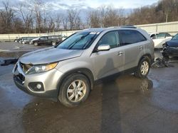 Salvage cars for sale at Ellwood City, PA auction: 2013 KIA Sorento LX