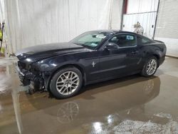 Ford Mustang salvage cars for sale: 2014 Ford Mustang