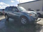 2010 Ford Escape Limited