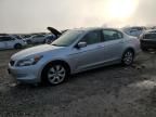 2010 Honda Accord EX