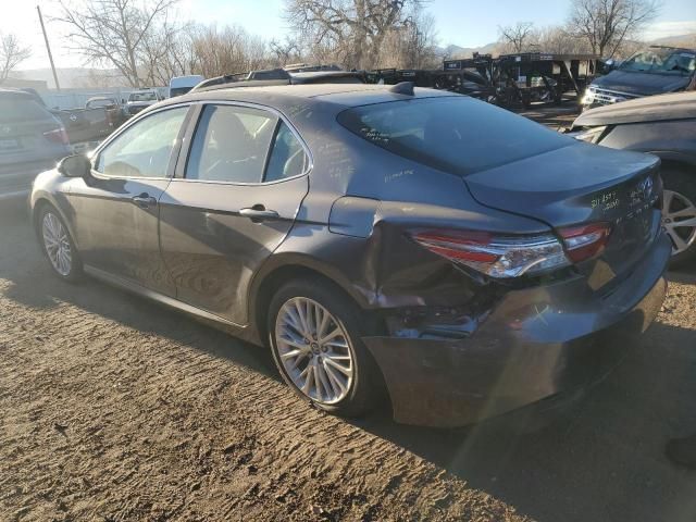 2019 Toyota Camry L