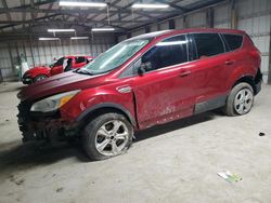 Salvage cars for sale at auction: 2016 Ford Escape SE