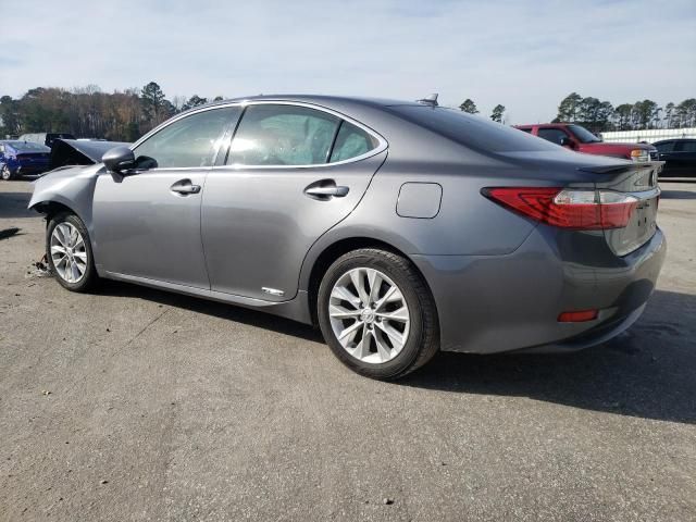 2013 Lexus ES 300H