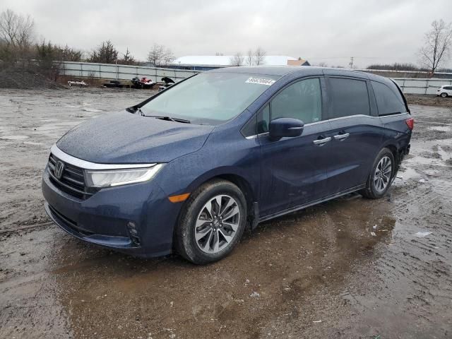 2021 Honda Odyssey EXL