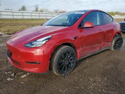 2023 Tesla Model Y en venta en Houston, TX