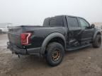 2017 Ford F150 Raptor