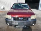 2007 Ford Escape Limited