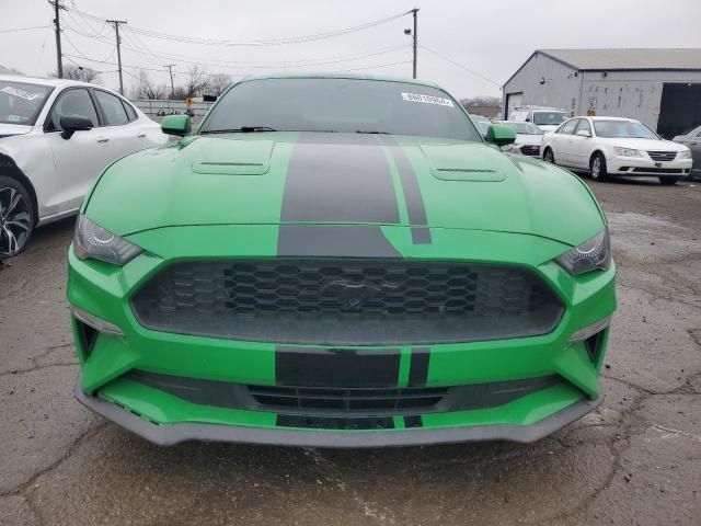 2019 Ford Mustang