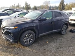 Hyundai salvage cars for sale: 2024 Hyundai Tucson Blue