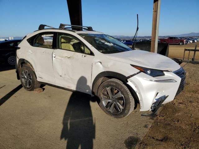 2020 Lexus NX 300H