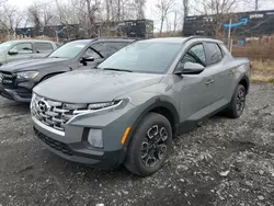 Hyundai Santa Cruz salvage cars for sale: 2024 Hyundai Santa Cruz SEL