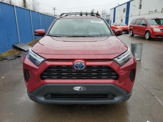 2023 Toyota Rav4 XLE