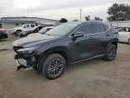 2025 Lexus NX 350H Base