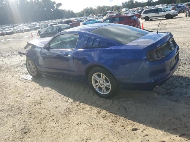 2013 Ford Mustang