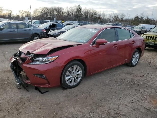 2013 Lexus ES 300H