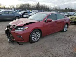 Salvage cars for sale at Chalfont, PA auction: 2013 Lexus ES 300H