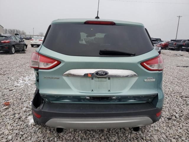 2013 Ford Escape SEL