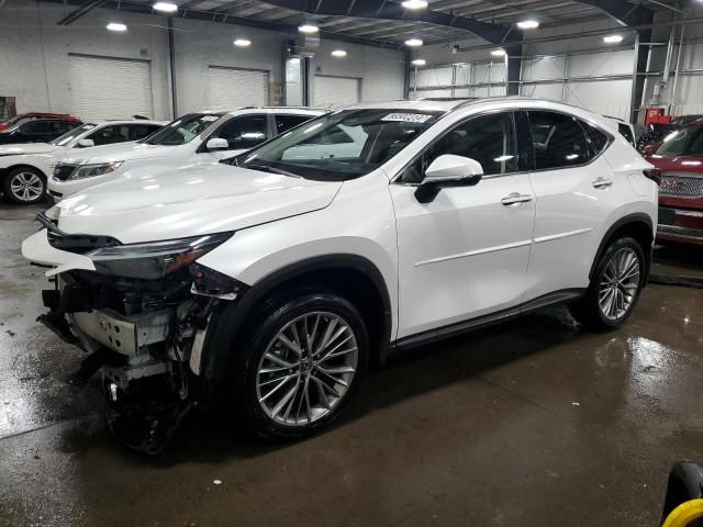 2023 Lexus NX 350