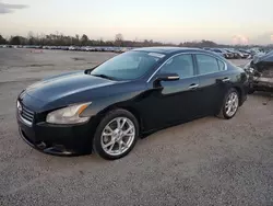 Salvage cars for sale at Lumberton, NC auction: 2012 Nissan Maxima S