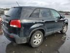 2011 KIA Sorento Base