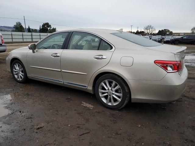 2010 Lexus ES 350