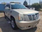 2008 Cadillac Escalade Luxury