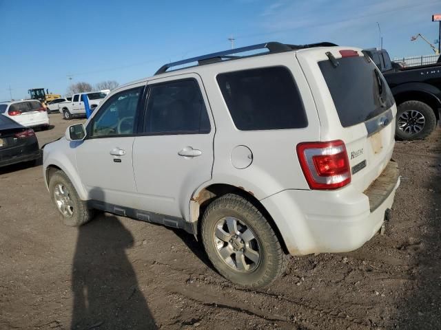 2010 Ford Escape Limited