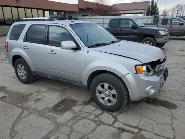 2011 Ford Escape Limited