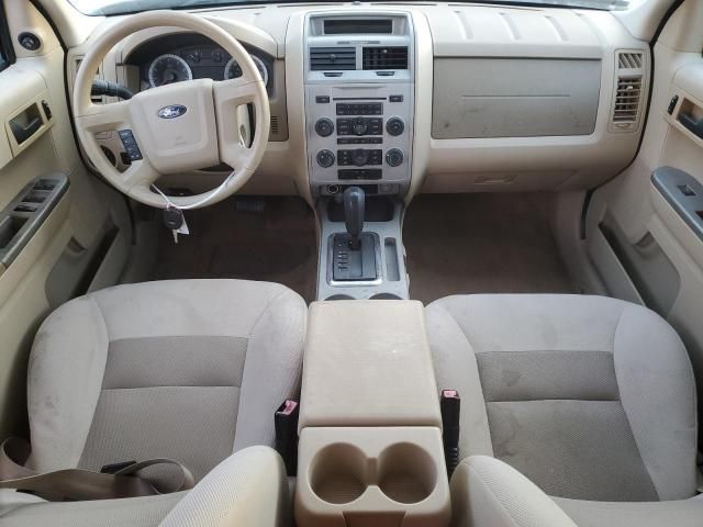 2008 Ford Escape XLT