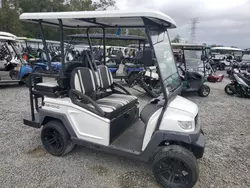 Vehiculos salvage en venta de Copart Riverview, FL: 2021 Other Golf Cart