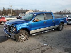 Salvage cars for sale at York Haven, PA auction: 2009 Ford F150 Supercrew