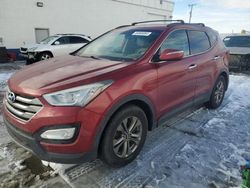 Salvage cars for sale at Farr West, UT auction: 2014 Hyundai Santa FE Sport