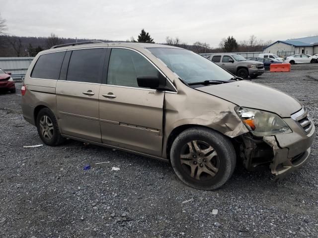 2005 Honda Odyssey EXL