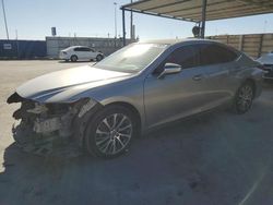 Salvage cars for sale at Anthony, TX auction: 2019 Lexus ES 350