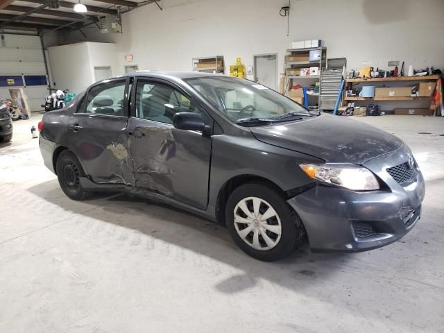 2010 Toyota Corolla Base