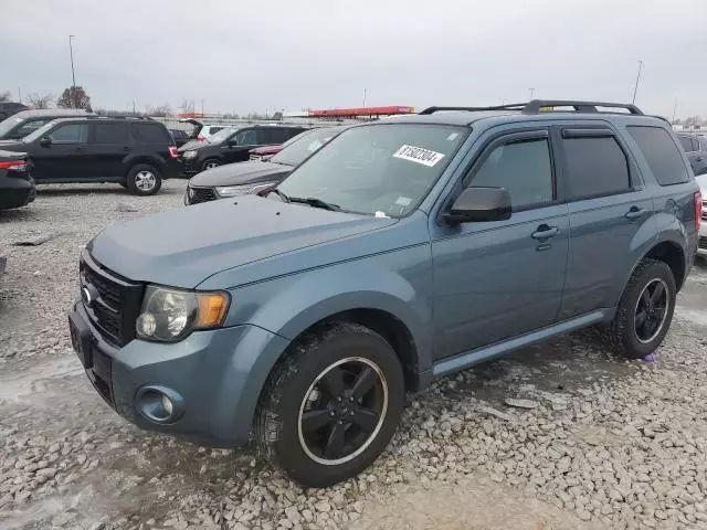 2011 Ford Escape XLT