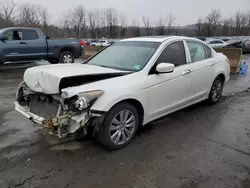 Salvage cars for sale at Marlboro, NY auction: 2011 Honda Accord EXL