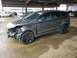 Salvage cars for sale at American Canyon, CA auction: 2016 Ford Escape SE