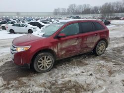 Ford Edge salvage cars for sale: 2014 Ford Edge SEL